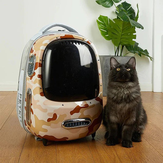 Reducing Cat Anxiety with a Backpack Carrier