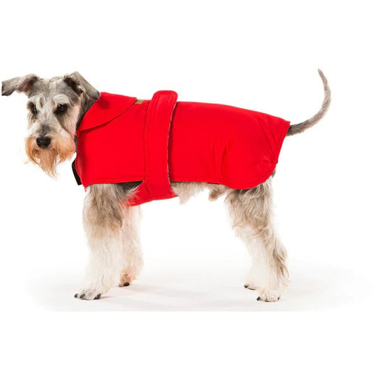 Trending Winter Coat Designs for Dogs in Australia