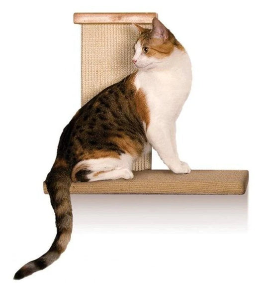 Cat Scratch Fever: Choosing the Best Cat Scratching Post Online