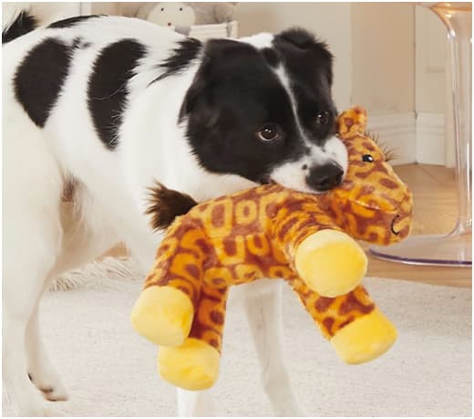 Great Toys for Your Dog's Fun: Keeping Your Pup Happy and Active