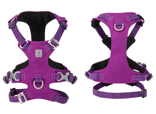 Whinhyepet Harness Purple S