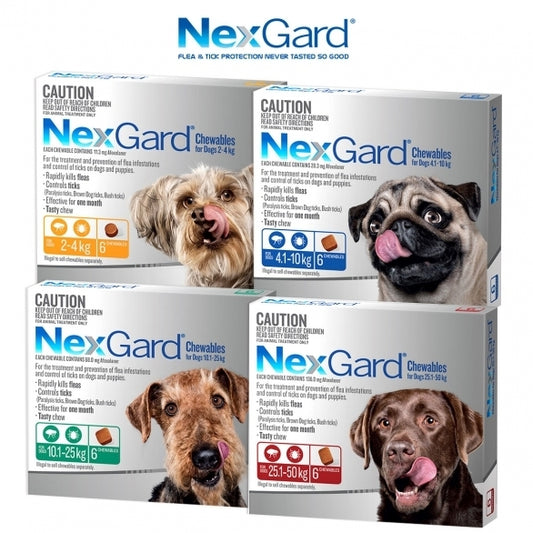 NEXGARD FOR DOGS 2-4KG - Orange 6 Pack