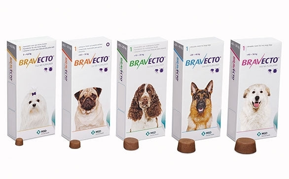 Bravecto Large Dog Blue 20-40kg Single Chew Flea & Tick Control - Large