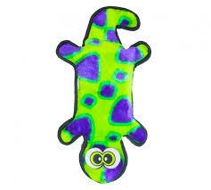 Invincible Gecko Green/Purple 4sqk by Outward Hound