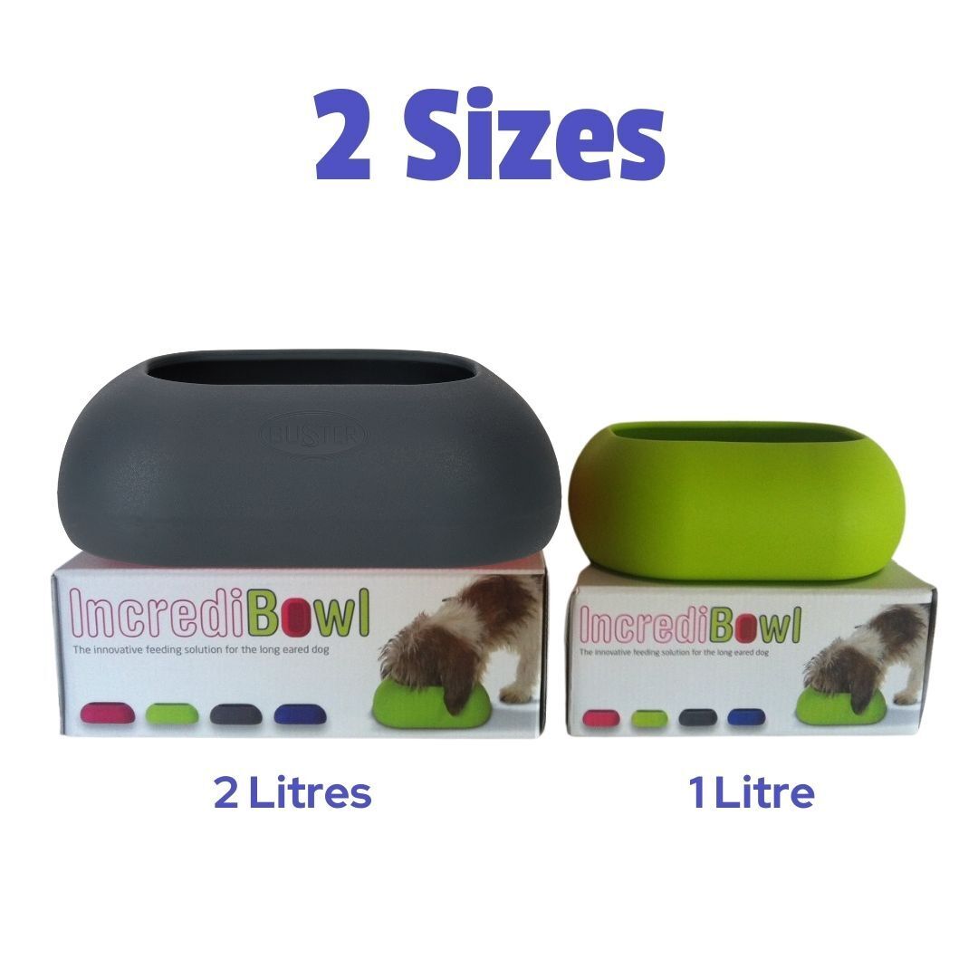 Buster IncrediBowl Wet and Dry Food Bowl for Long Eared Dogs - Small Green