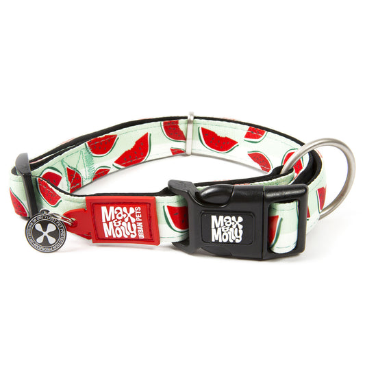 Max & Molly Smart ID Dog Collar - Watermelon - X-Small