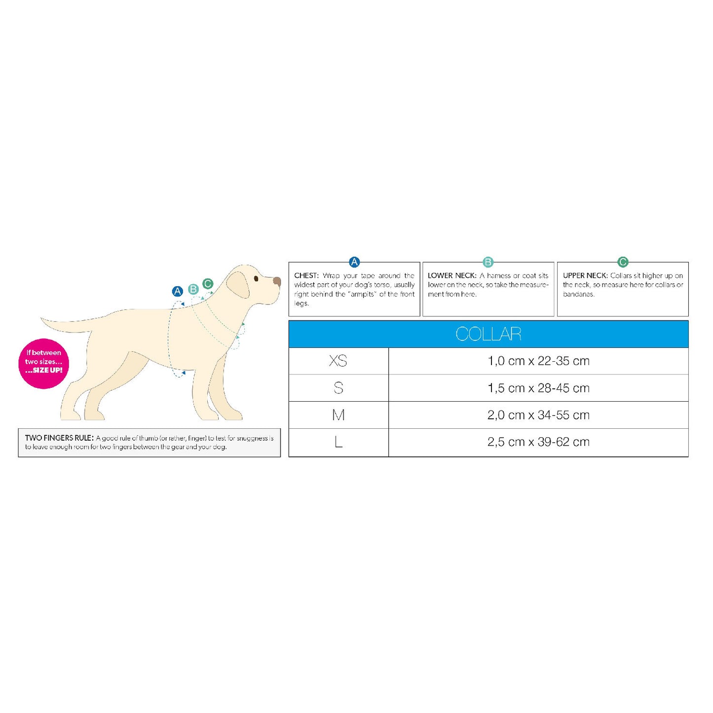 Max & Molly Smart ID Dog Collar - Strawberries - Medium