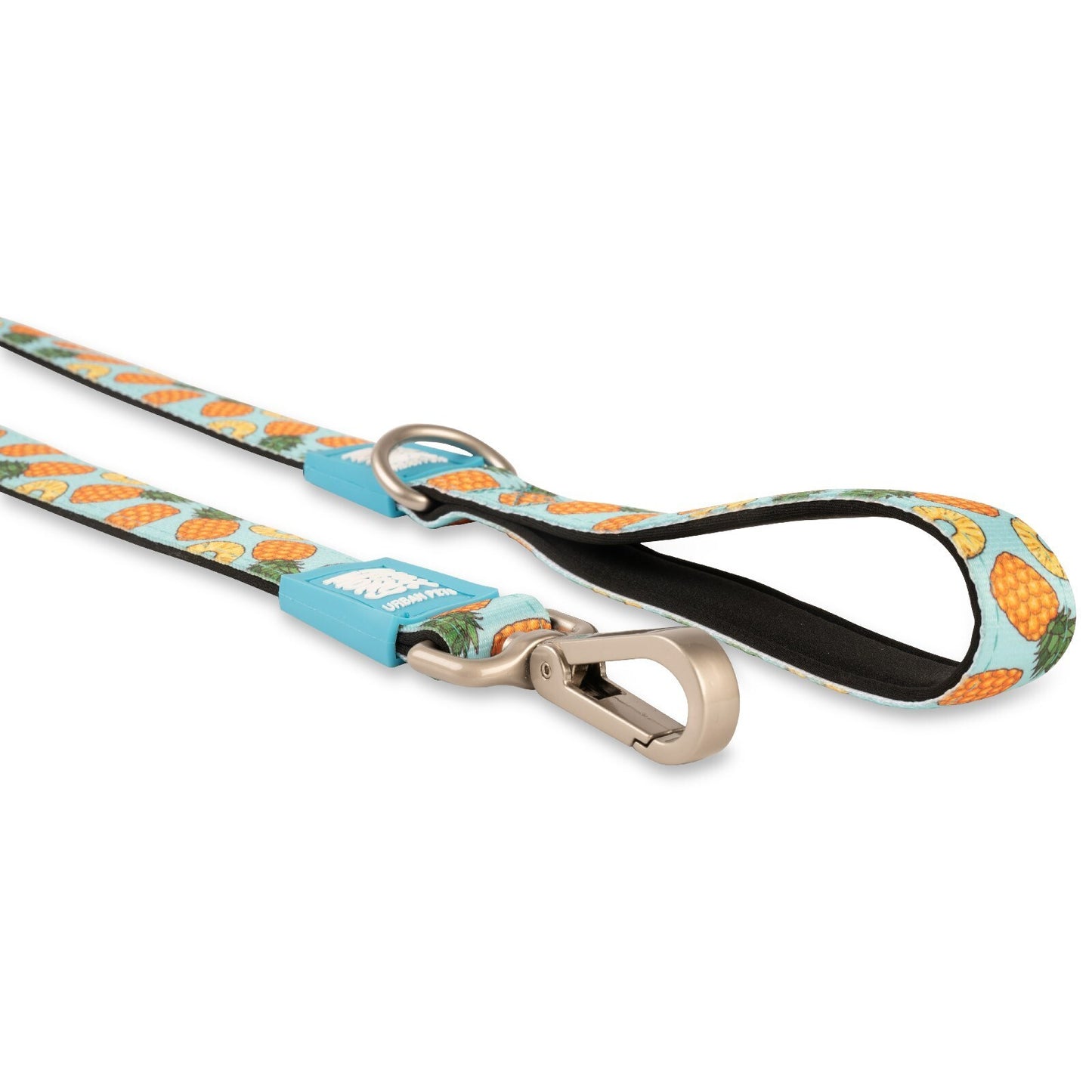 Max & Molly Dog Leash - Sweet Pineapple - Large