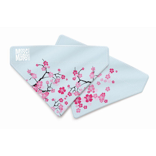 Max & Molly Bandana for Cats & Dogs - Cherry Bloom - Large