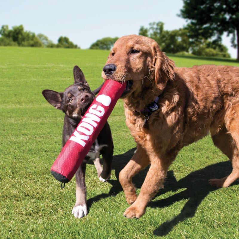 KONG Signature Stick - Safe Fetch Toy with Rattle & Squeak for Dogs