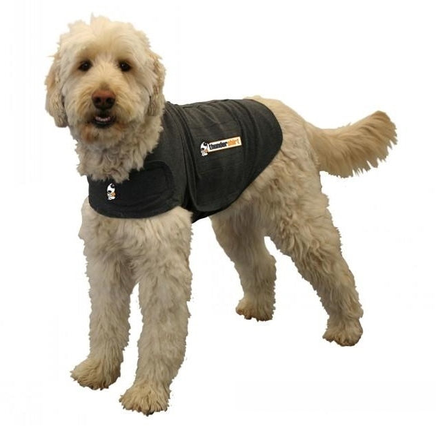 Thundershirt For Dogs [Size: Medium]