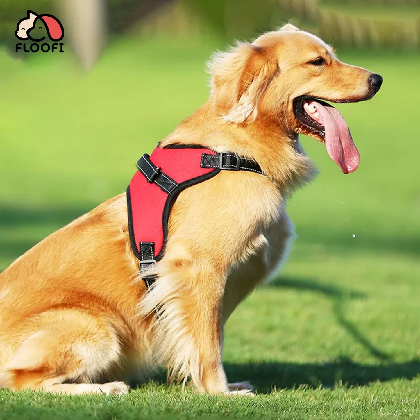 FLOOFI XXL Size Dog Harness XXL Size (Red)