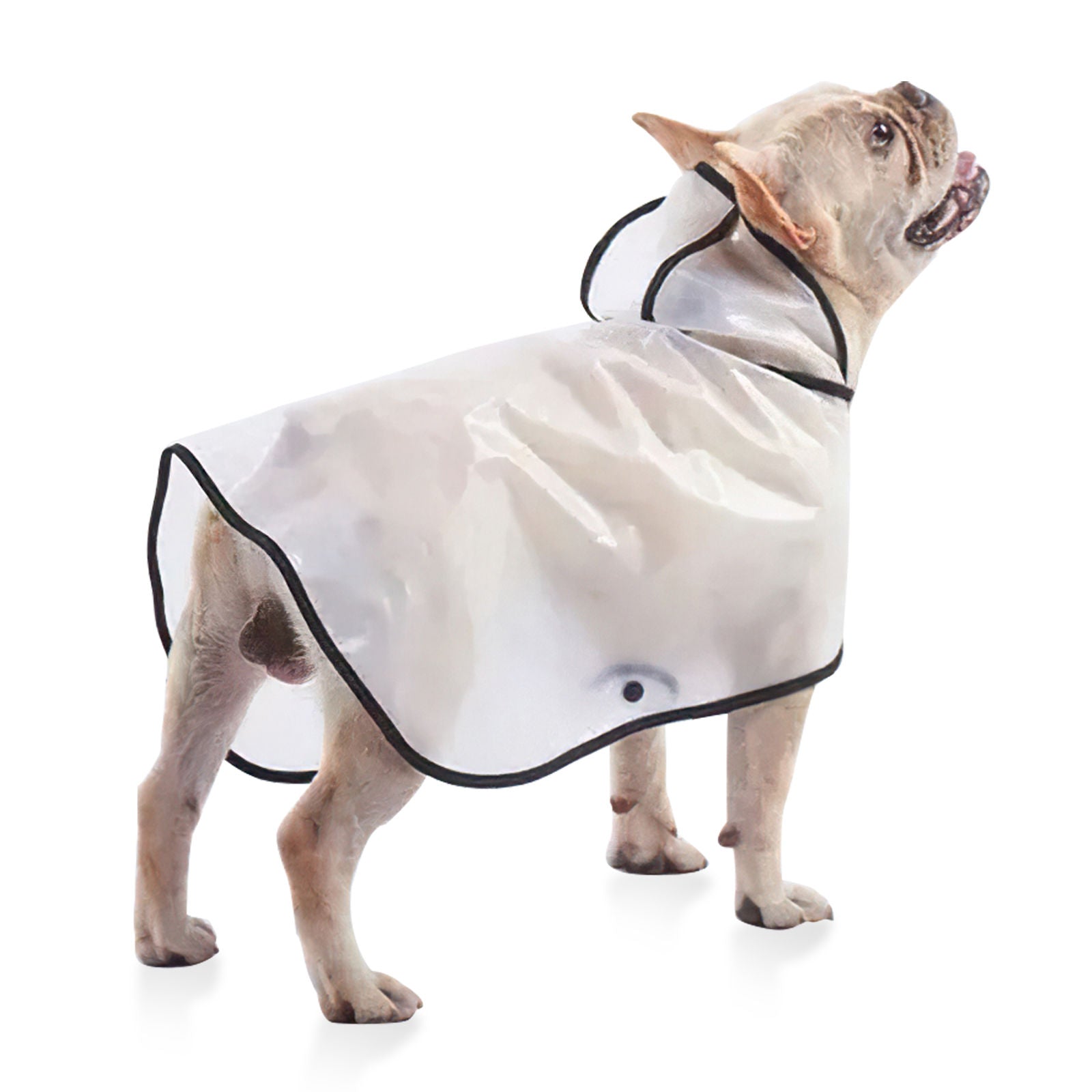 Pawfriends TPU Transparent Pet Cape Raincoat Large Dog Teddy Fado Koki Dog Dog Clothing